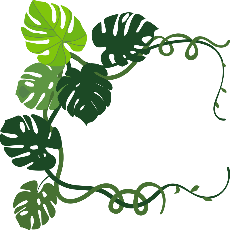 gardening-about-images-2