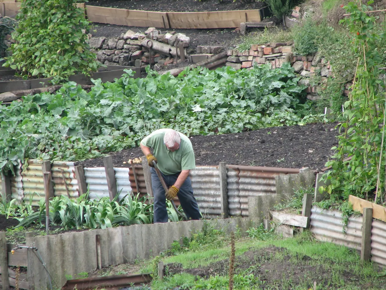 work-hand-nature-blossom-people-growth-930371-pxhere.com